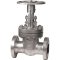 Globe Valve