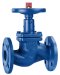 Globe Valve