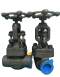 Globe Valve