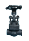 Globe Valve