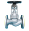 Globe Valve