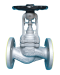 Globe Valve