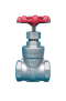 Gate Valve