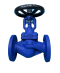 Globe Valve