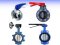 Butterfly Valve