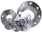 Stainless Steel Forged Flange