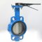 Butterfly Valve