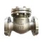 Check Valve
