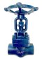 Gate Valve