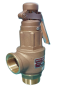 Safety Valve