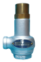 Safety Valve