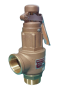 Safety Valve