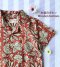 เด็กชาย-หญิง เสื้อเชิ๊ต *สินค้าสั่งจองล่วงหน้า ส่งสินค้าออก 24 กรกฏาคม