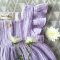 FLUTTER SLEEVES LILAC 100 % COTTON CRINKLE *HEADBAND NOT INCLUDE