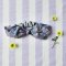 KIDS & ADULTS CRAFTED BOHO HEADBAND ELASTIC BACK 100% COTTON INDIA HAND BLOCK PRINTED *予約注文商品の発送予定日：6月15日～20日 PRE-ORDER ITEMS SHIPMENT 15-20 JUNE