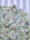เสื้อเชิ๊ตเด็กโตวัยรุ่น และ ผู้ใหญ่ใส่ได้ทั้งชาย หญิง 100% คอตตอน พิมพ์ลสยซาฟารี