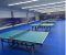 Table Tennis Flooring