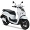 Scoopy Prestige 2026 (ACF110 CBTT 3TH)