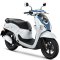 Scoopy Club 12 (2026) (ACF110CBTT TH)