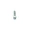 Zinc Phillip Pan Head Screw