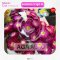 AGA AGRO I "Aster Azumi XL" 100seeds