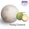 Young Coconut (Pint 280 g.)