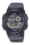 AE-1000W-8A