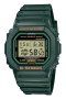 DW-5600RB-3