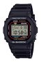 DW-5600RL-1