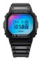 DW-5600SR-1