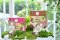"Mommy Booster Protein 3X" สำหรับคุณแม่เตรียมตั้งครรภ์