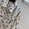 เสื้อผ้า พรีออเดอร์