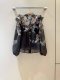 เสื้อผ้า พรีออเดอร์