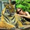 Tiger Kingdom Phuket