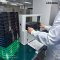 UCHIDA Tapit-Wll+ Bandling Machine