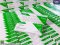 Gica Testsealabs Antigen Test Cassette (Saliva) 1:1 Green Box