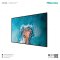 Hisense GM50D 4K UHD Digital Signage Display