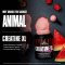 Animal Creatine XL Powder - 279g | 30 Serving
