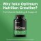 OPTIMUM NUTRITION CREATINE CAPSULE