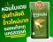 นางแอ่นเขียว