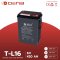 DeNA T-L16