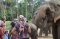 Maerim Elephant Sanctury+Queen Sirikit Botanical Garden