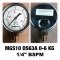 เกจ์วัดความดัน 2.5 นิ้ว 0-6 Kg/cm2 ออกล่าง เกลียว 1/4" BSP ทองเหลือง MGS10 DS63A NUOVAFIMA Pressure Gauge Made in ITALY @ ราคา