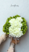 [Artificial] Shades of Green Hydrangea