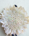 100 White Roses Heart - Special Wrapping - free delivery in BKK