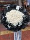 BowTied 100 White English Rose