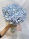 Hydengrea Crystal Vase with pearls