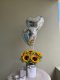 Sunflower Box + Heart Ballooons
