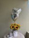 Sunflower Box + Heart Ballooons