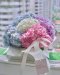 Rainbow XL Hydrangea FlowerBox